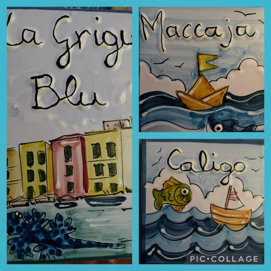 La Grigua Blu Apartment Riomaggiore Bagian luar foto